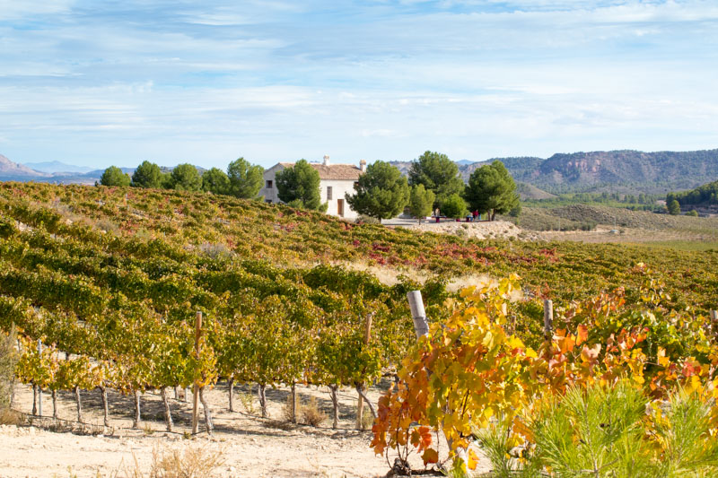 Bodegas Carreño